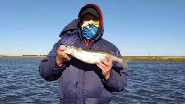 Triplete de lagunas para seguir pescando pejerreyes en veda